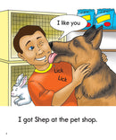 Phonics Readers Set 2